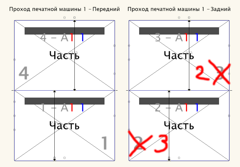 05557007.jpg