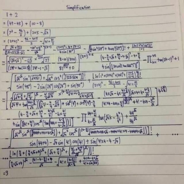 12537041.jpg