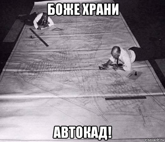 1479274911182463251.jpg