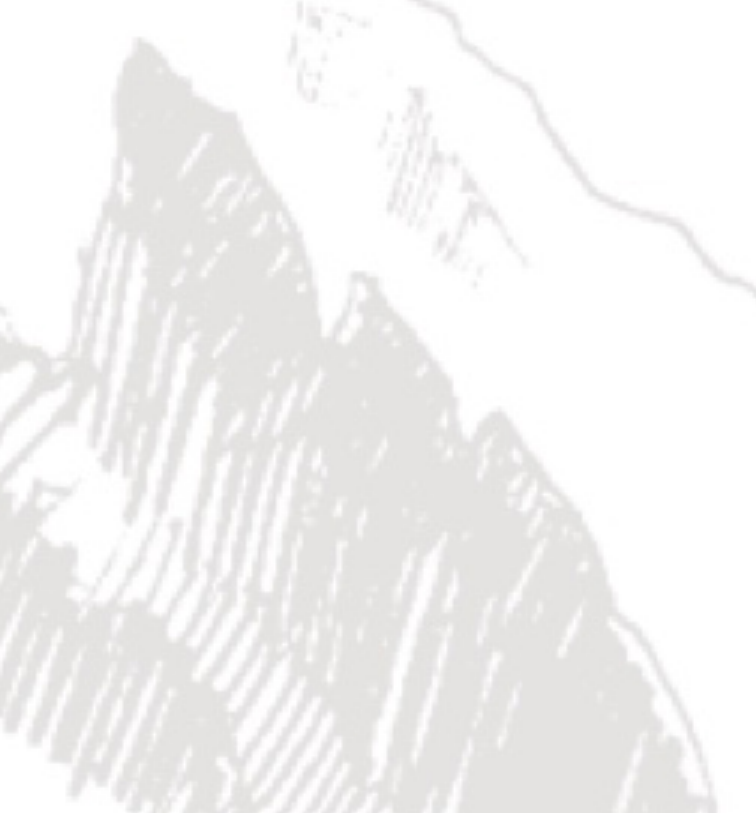 1580693580894.png