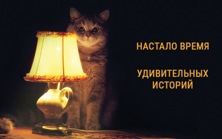 1596192738051.png