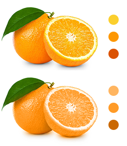 1666966161254.png