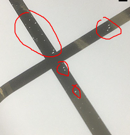 1679574199937.png