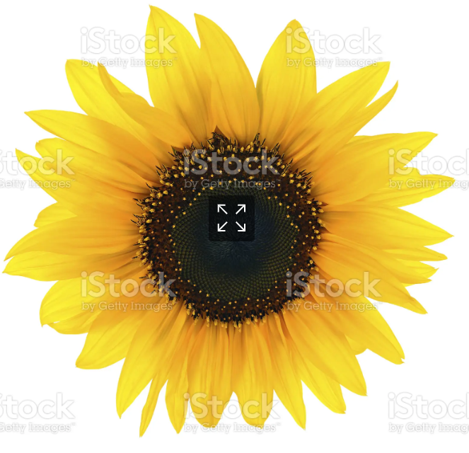 1690375862806.png