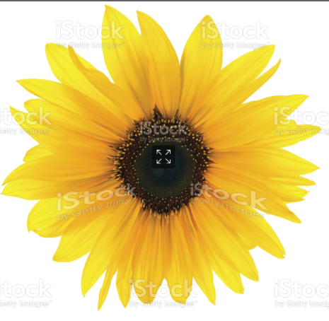 1690376067420.png
