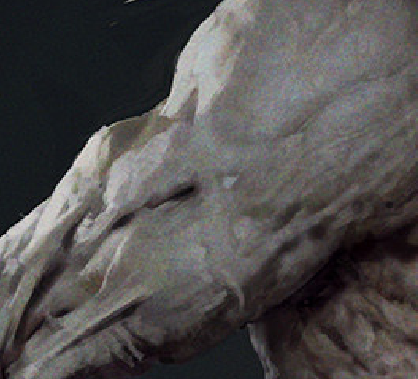 1691420087012.png