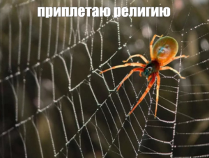 1695408046325.png