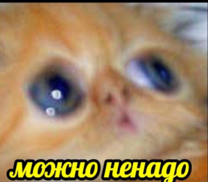 1712361657446.png
