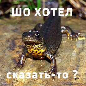 1714768092978.png