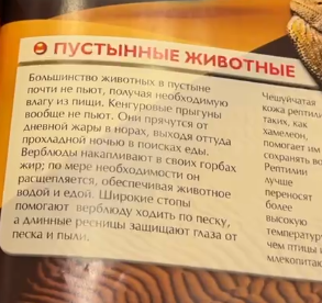 1739905241453.png
