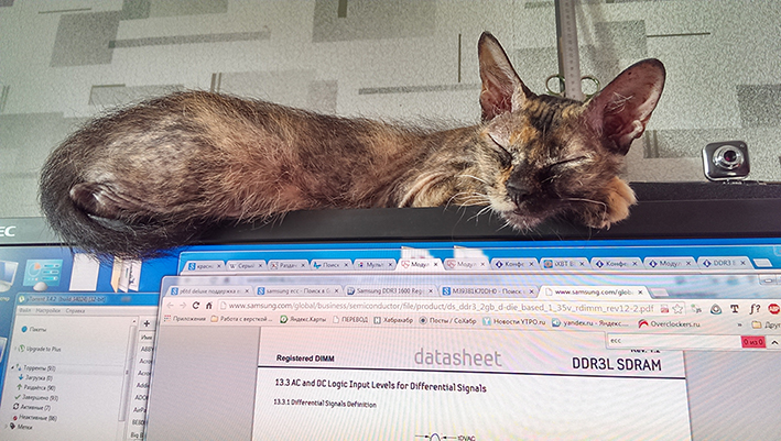 2014-09-20 17-35-38_1.jpg