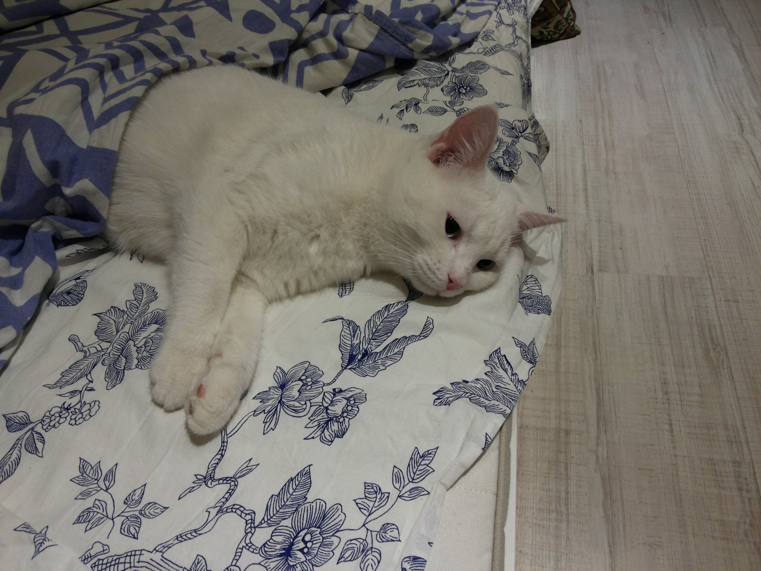20180430_023649.jpg