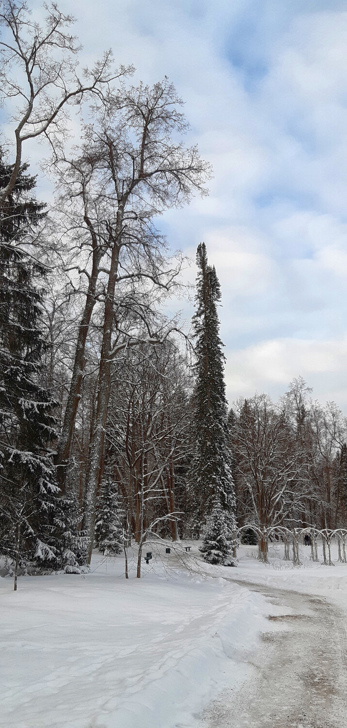 20230107_123902.jpg