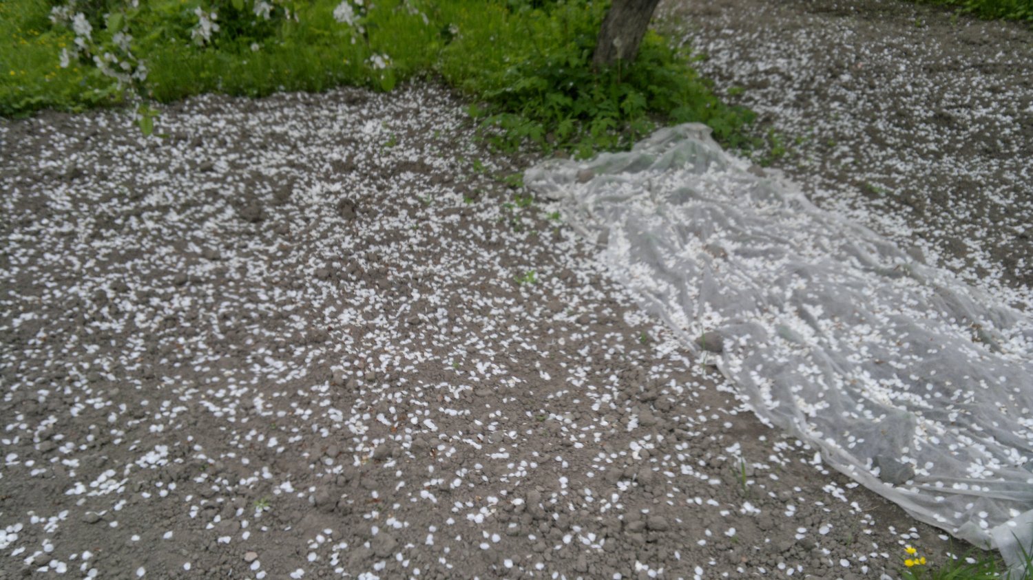 280520161265.jpg