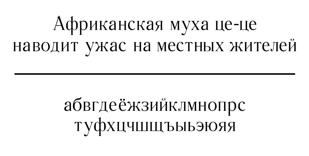 333.png