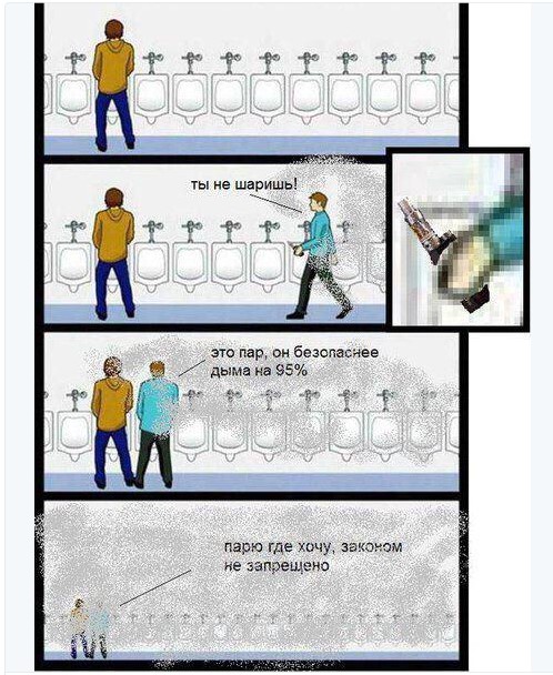 7822298.jpg