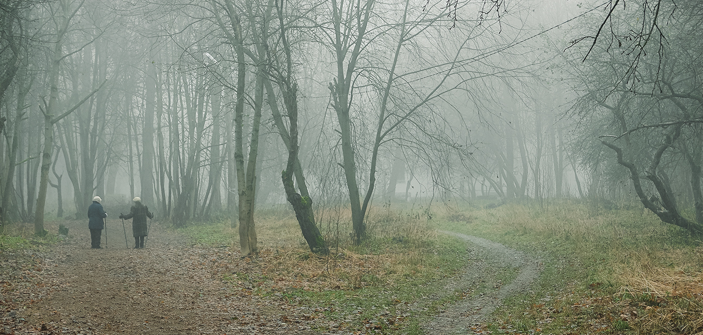 _1090138.jpg