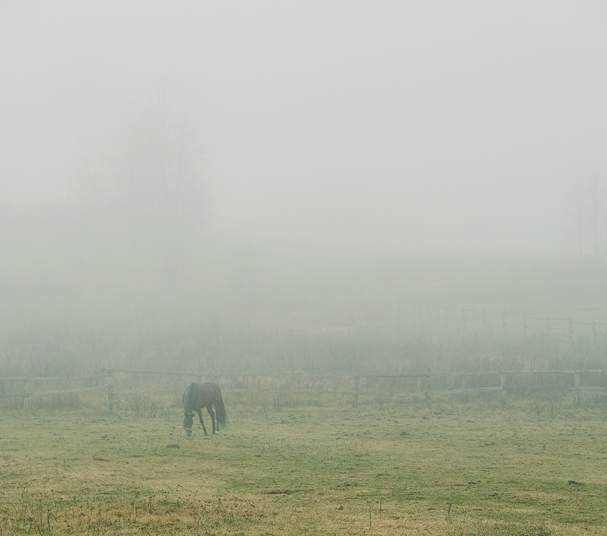 _1090290.jpg