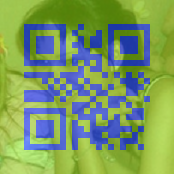 _qr11.png