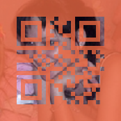 _qr20.png