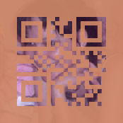 _qr31.png