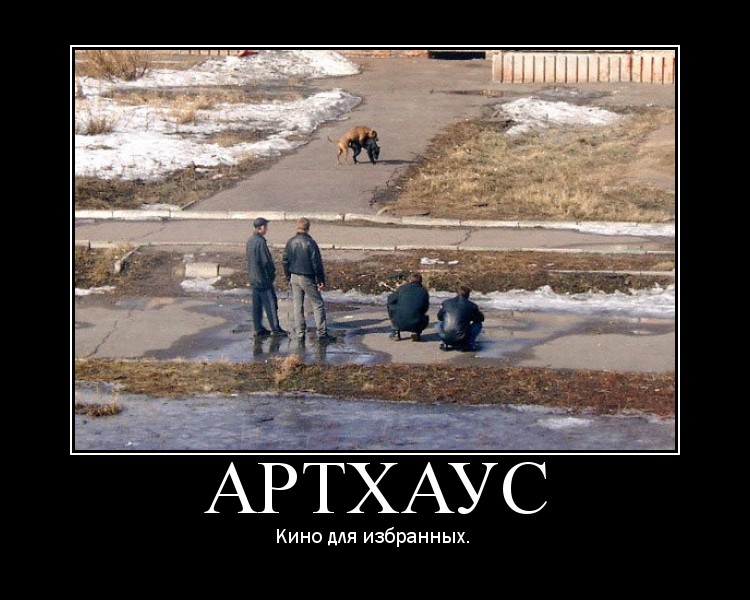 ArtDM (1).jpg