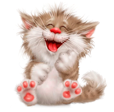 cat.gif