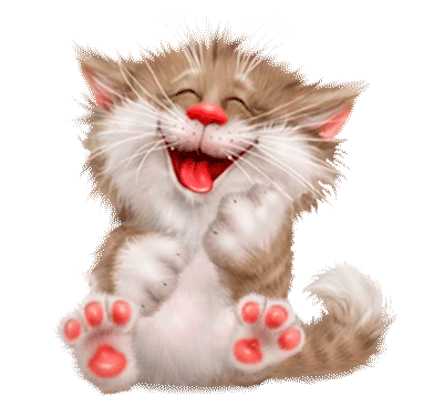 cat_transparent.gif