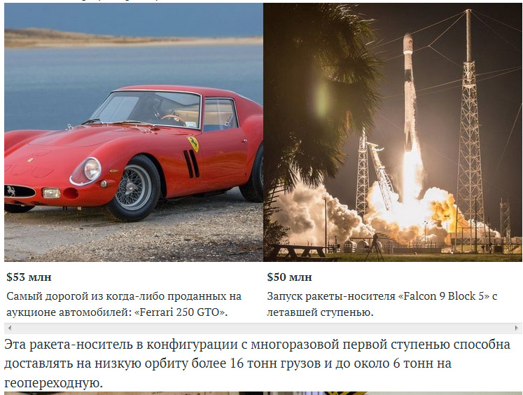 cosmos-3.jpg