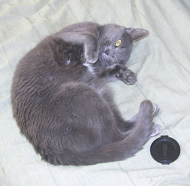 DSCN8470-s.jpg