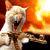 e87a8b9149ac6af4ff378db788340275[2].gif