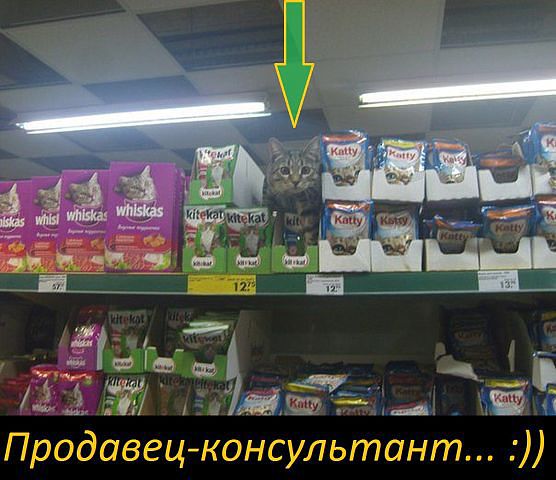 getImage.jpeg