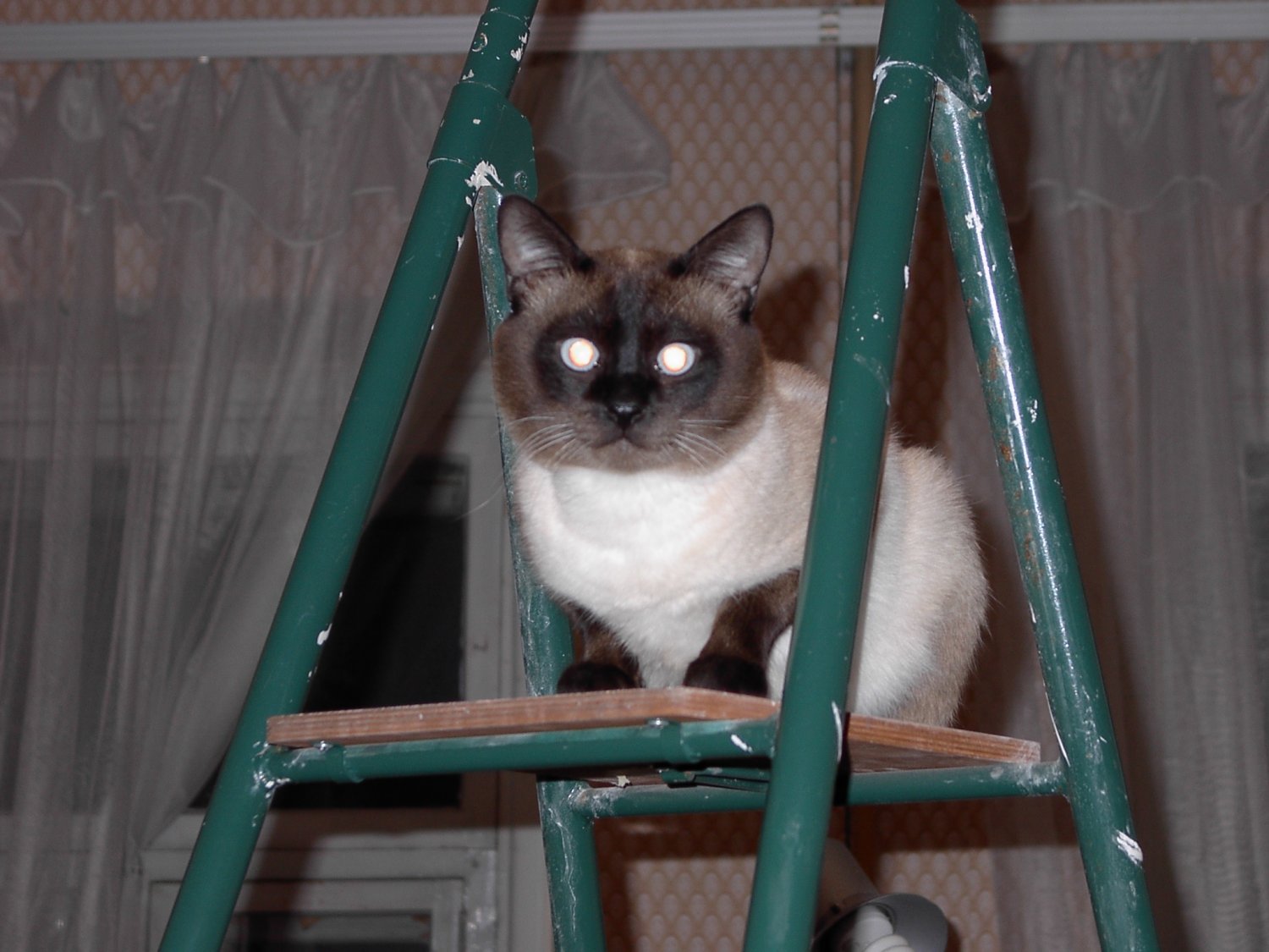 IM002105.JPG