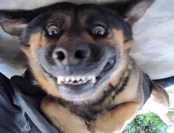 image.jpg