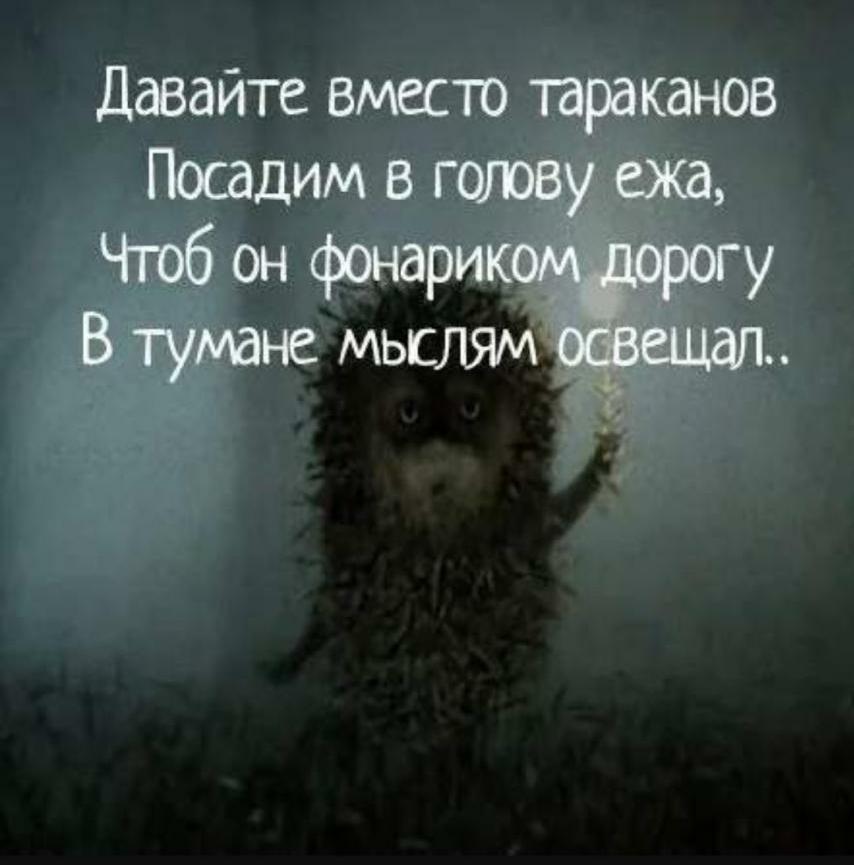 IMG-20210811-WA0001.jpg