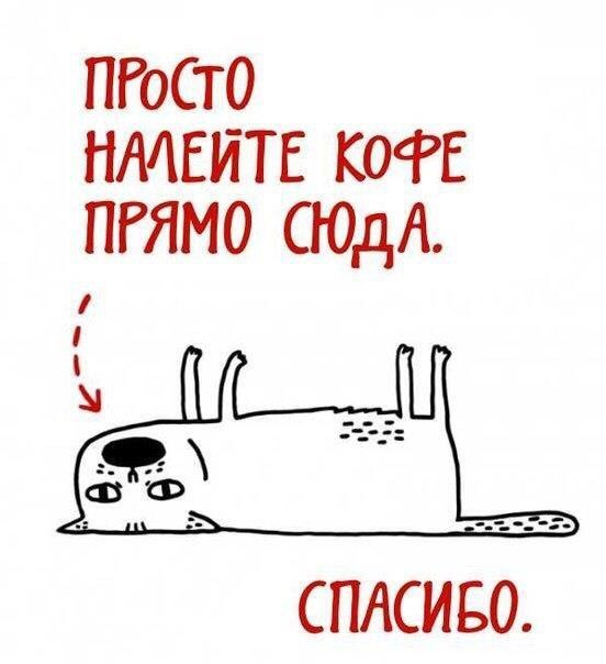 IMG_03112016_095601.png