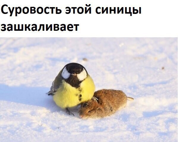 original.jpg