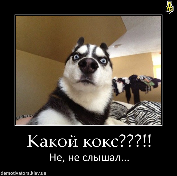 poster_8154.jpeg