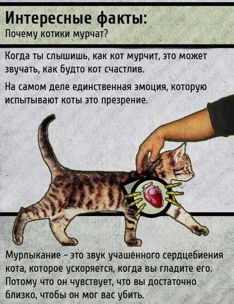 S37Cql4XjiA.jpg