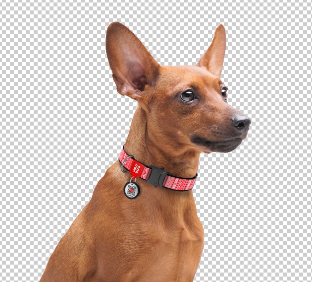 Screenshot_4.jpg
