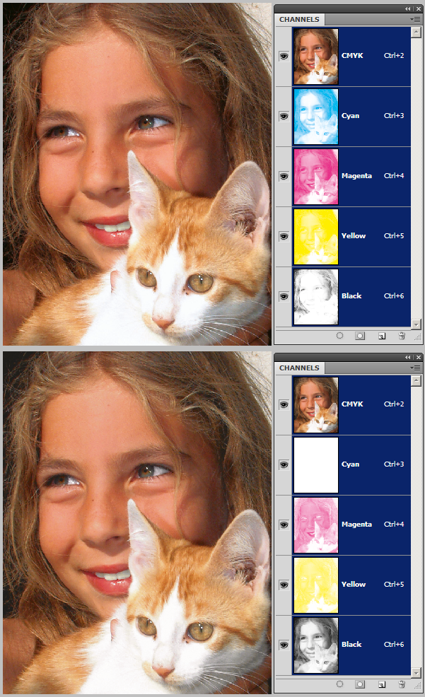 Untitled-1.png