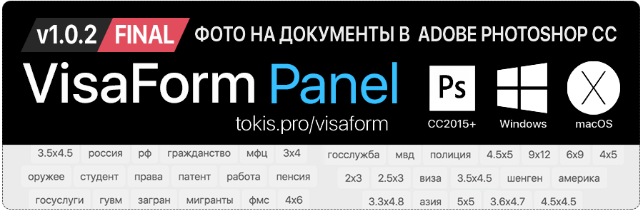 WEB mini VisaForm v1.0.2 Final@0,75x.png