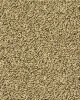 grain.jpg