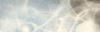 pautinaz.gif