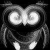 (sowa) web.jpg