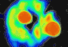 2860.gif
