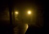 SoftDarkness.jpg
