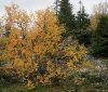 September_2005_3_end.jpg