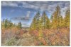 hdri_smpls2.jpg