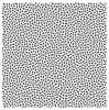 Rastr-30-C.jpg